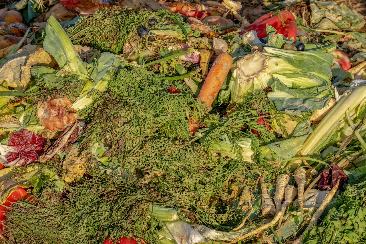 Are We Recycling Enough - The Current State of Global Waste